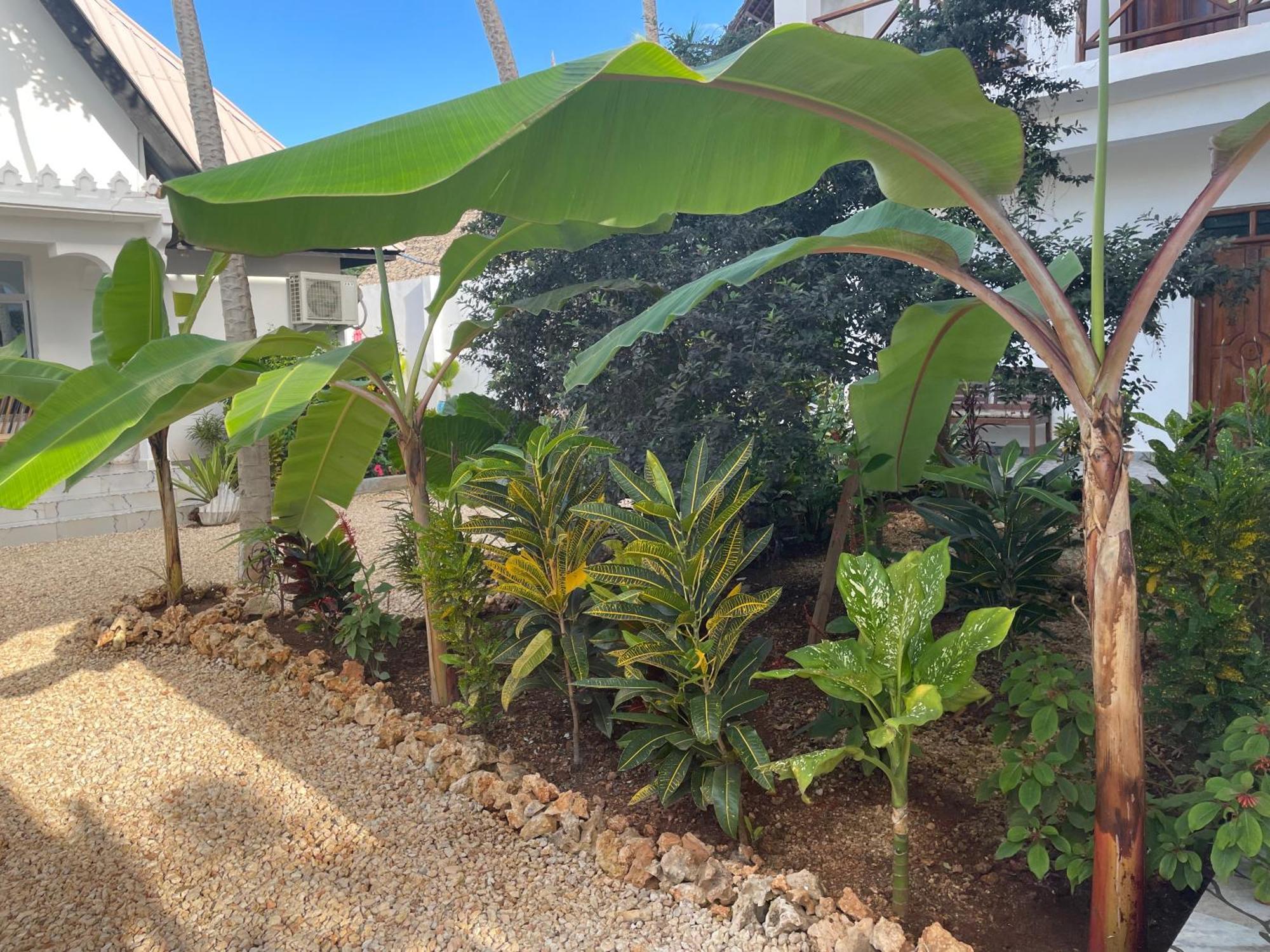 Daniel Zanzibar Hotel Nungwi Exteriör bild
